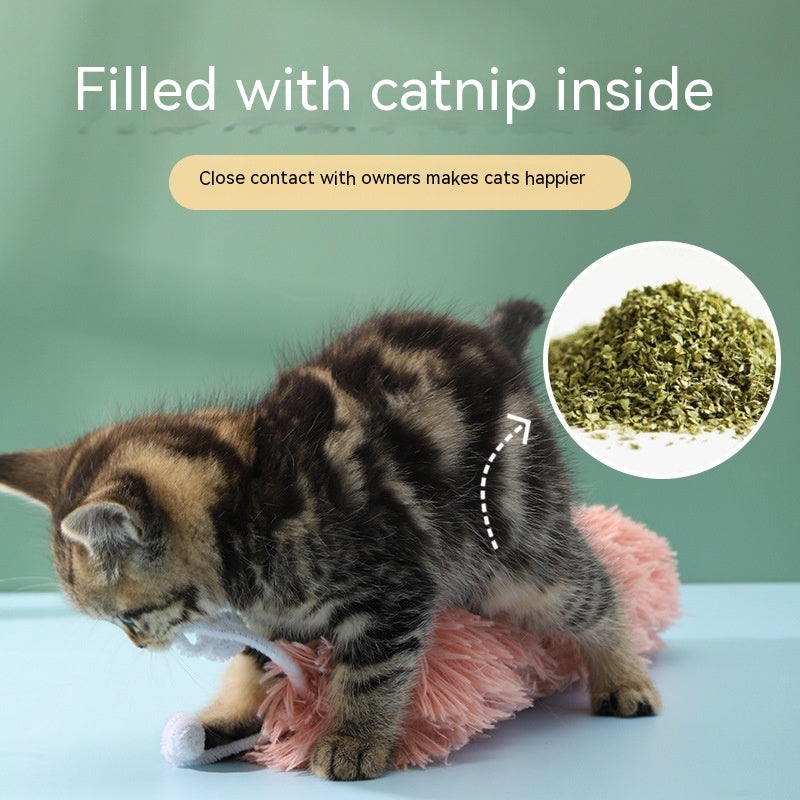 Caterpillar-Klingeln-Papier-Katzen-Spielzeug, selbst entspannend, stickig und bissfest