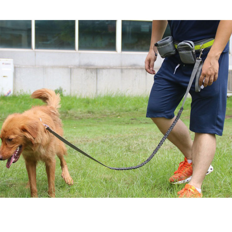 Hunde Joggingleine
