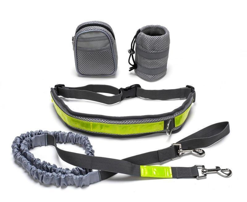 Hunde Joggingleine