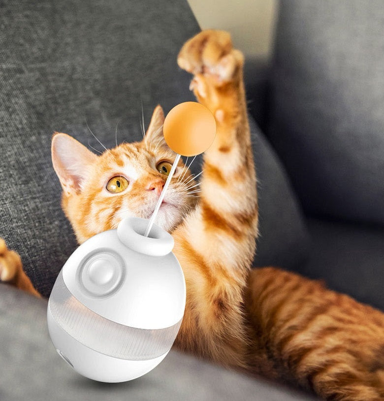 Feather Bell Haustier Katzenspielzeug