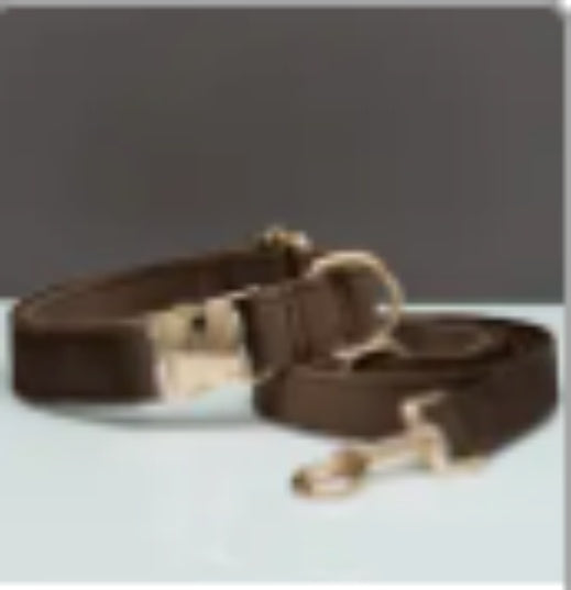 Mehrfarbiges Hundehalsband- und Leinenset aus Samt mit Schleife