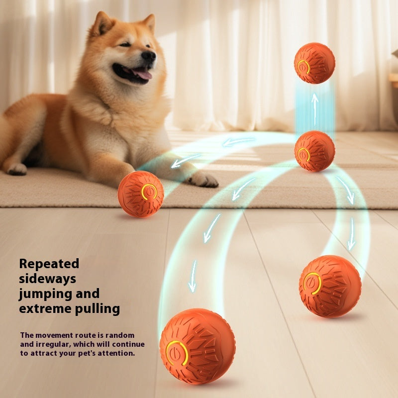 Elektrischer Springball für Haustiere