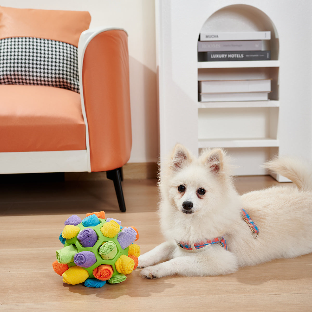 Hundeschnüffelball