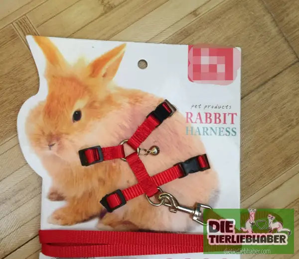Geschirr für kleine Haustiere - Red / 1 - Tierbedarf