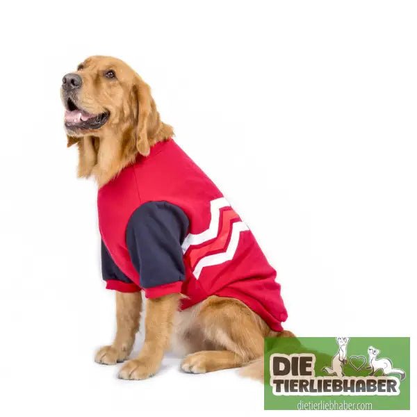 Hoodie-Hundekleidung - Red / 3xl - Hunde und Katzenkleidung