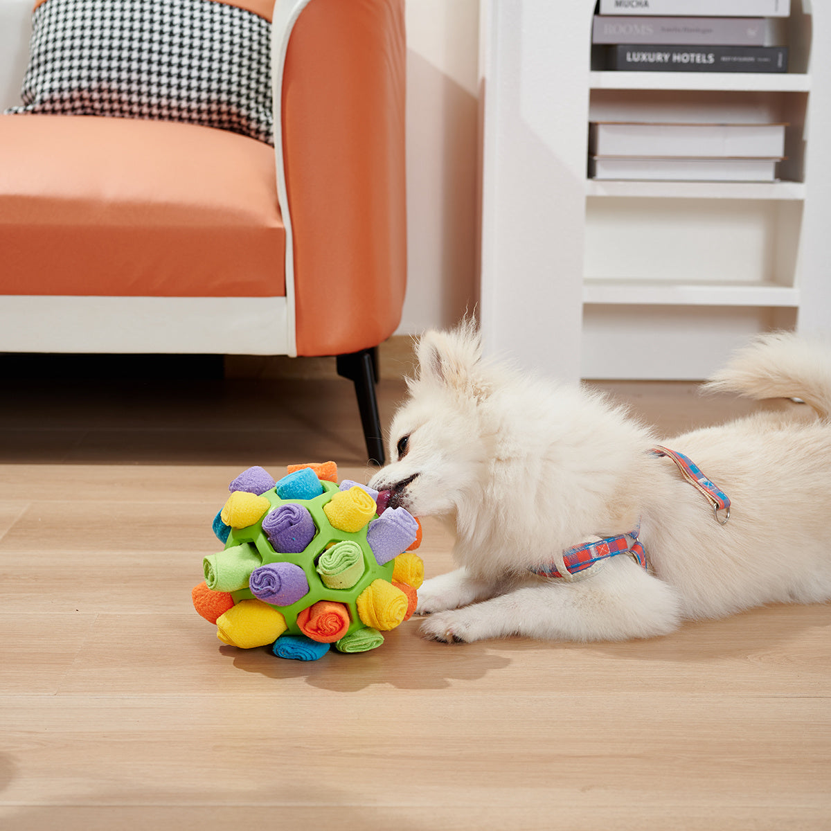 Hundeschnüffelball