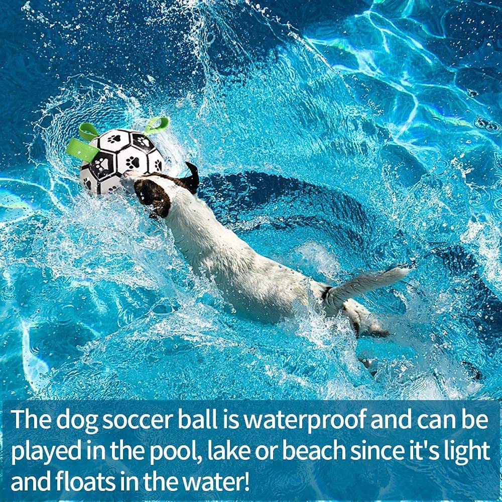 Hundefußball kann auch im Wasser genutzt werden