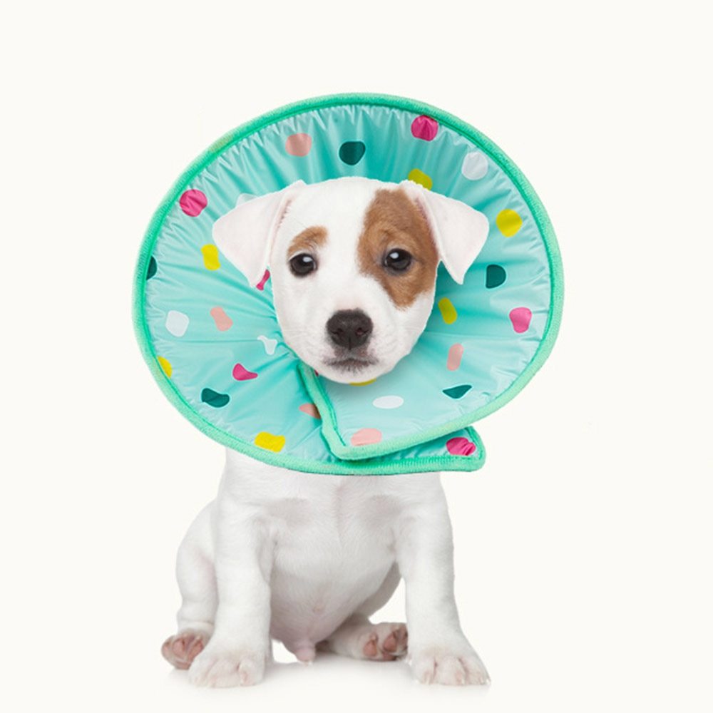 Antileckschutzkragen für Katzen und Hunde