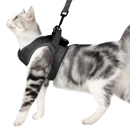 Katzengeschirr