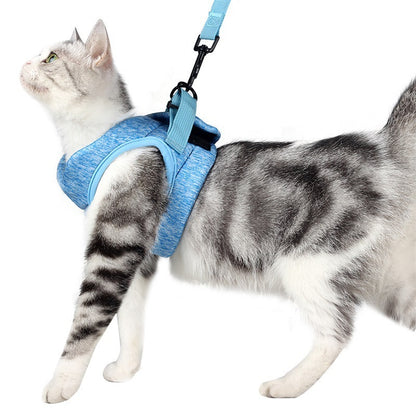 Katzengeschirr
