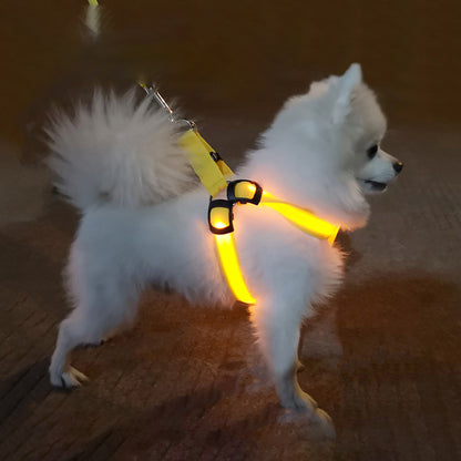 Reflektierendes, leuchtendes Hundegeschirr