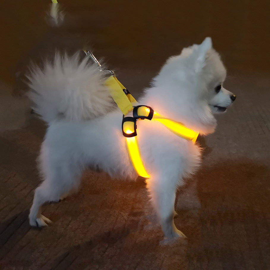 Reflektierendes, leuchtendes Hundegeschirr
