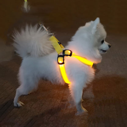 Reflektierendes, leuchtendes Hundegeschirr