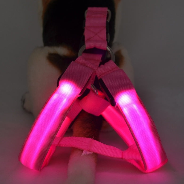 Reflektierendes, leuchtendes Hundegeschirr
