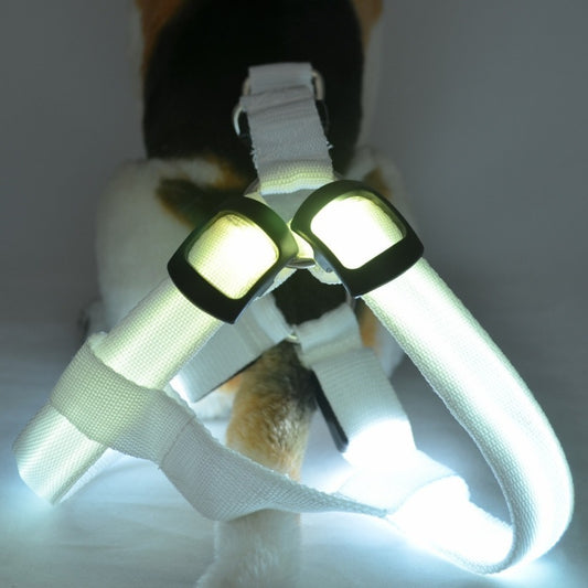 Reflektierendes, leuchtendes Hundegeschirr