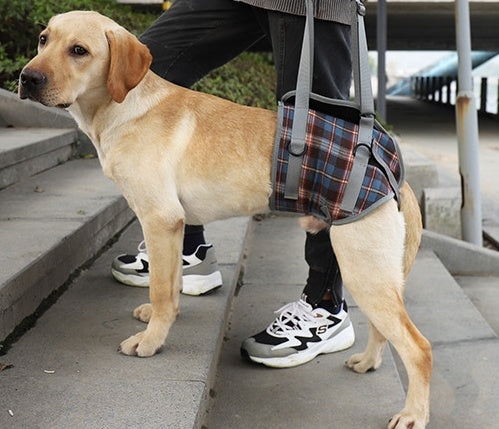 „Hilfsgurt für Haustierbeine – Hinterbeine – Rehabilitationsgurt nach Operationen für ältere Hunde – Unterstützende Gehschlinge – Beinmanschetten