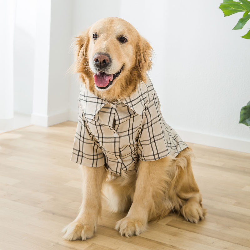 Hundehemd im Sherlok Holmes Style