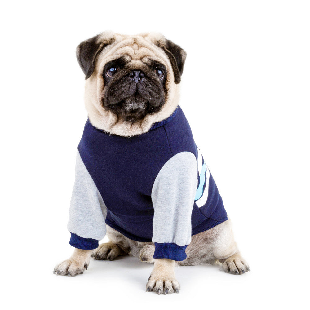 Gewellte Zweibein-Hoodie-Hundekleidung