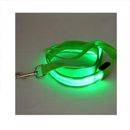 LED-beleuchtete Nylon-Haustierleine