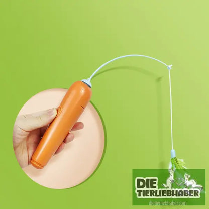 2 in 1 Katzenspielzeug mit Feder - Spielzeug