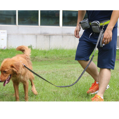 Hunde Joggingleine