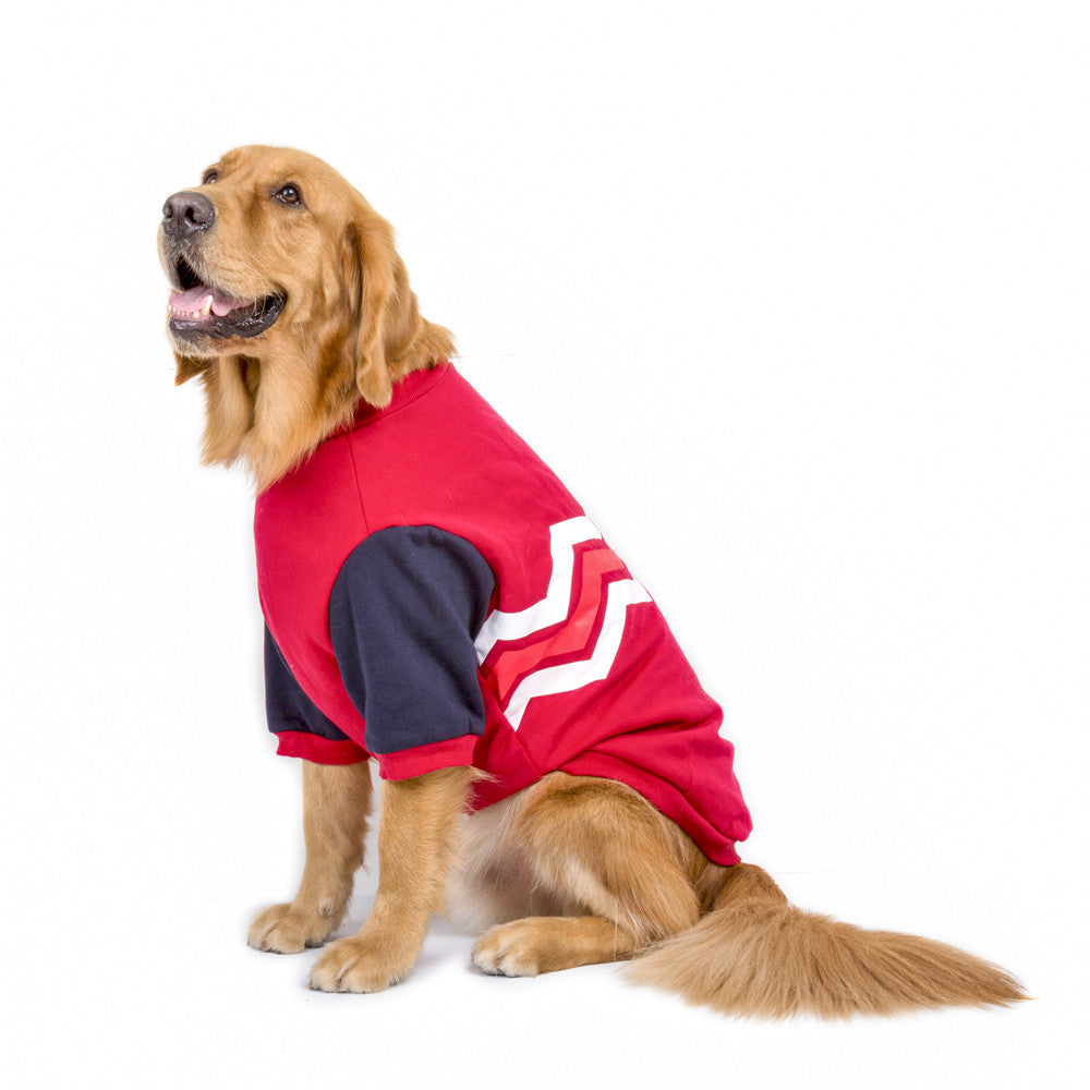 Gewellte Zweibein-Hoodie-Hundekleidung