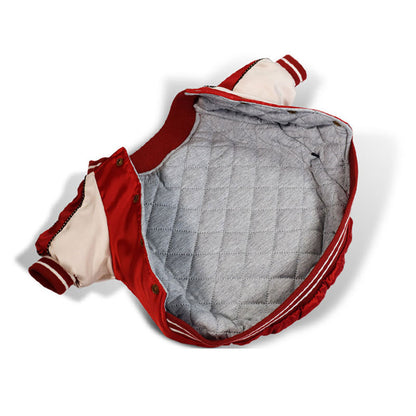 Hundebekleidung Glanzjacke