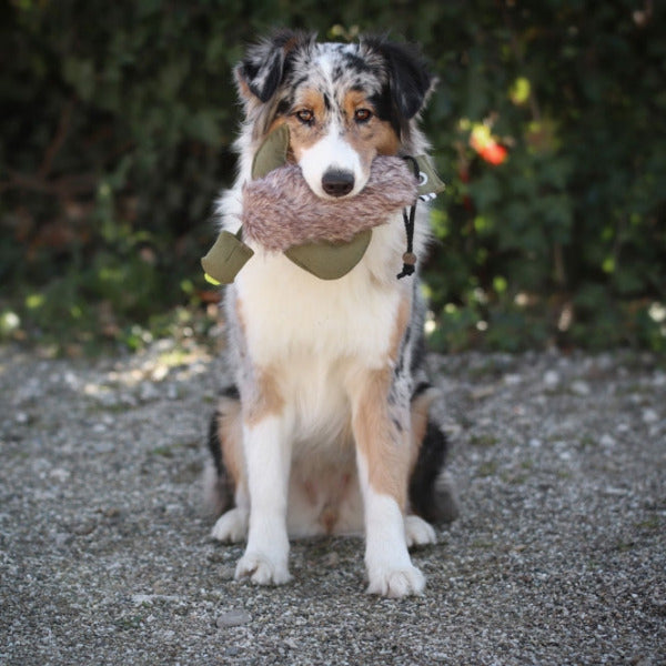 PROCYON Duck Dummy mit Kunstfell in Entenform für Hunde zum Apportiertraining, Dummyarbeit und Jagdhundetraining.