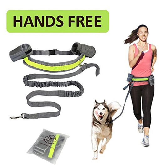 Hunde Joggingleine