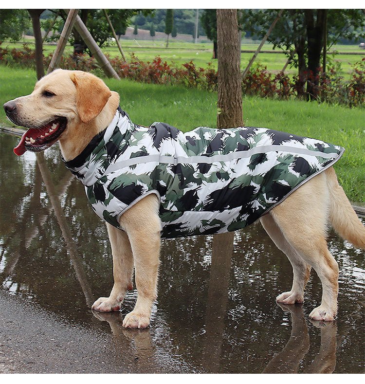 Warme Hundekleidung
