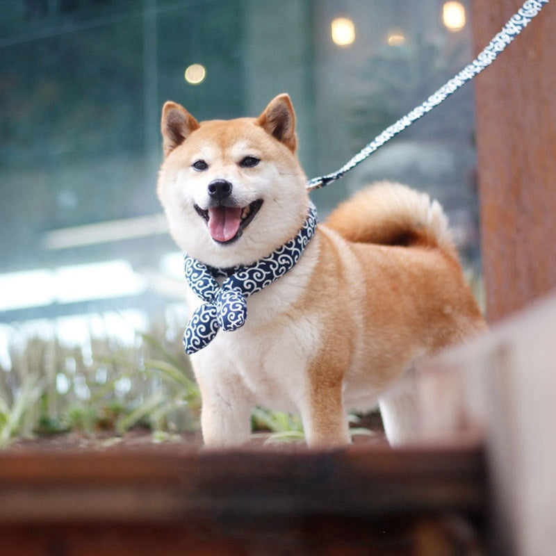 Japanisches Haustier-Universal-Hundehalstuch für Haustiere