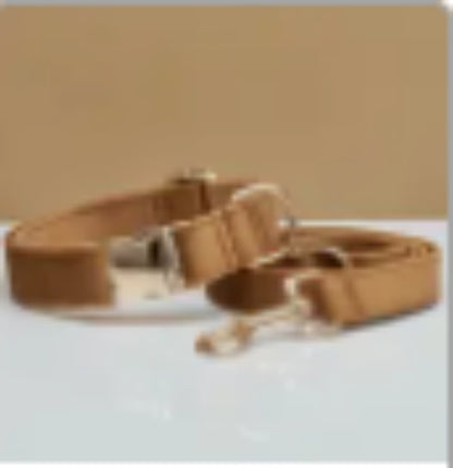 Mehrfarbiges Hundehalsband- und Leinenset aus Samt mit Schleife