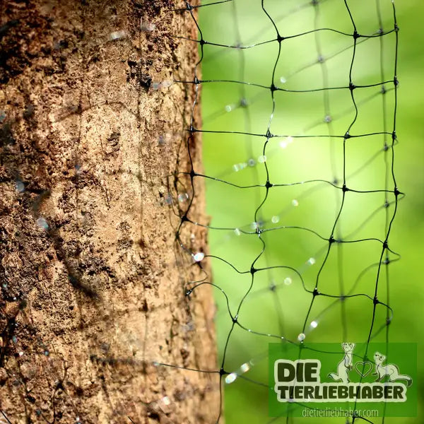️ 4,2 m Breites Vogelschutznetz für Garten & Teich - 4.2x 4.2 M - Teichzubehör