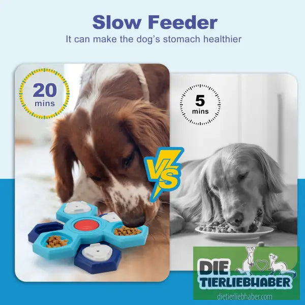 4-lagiger Puzzle-Hundenapf Rutschfester interaktiver Hunde-Puzzlespiel Napf - Blue - Futter- und Wassernäpfe
