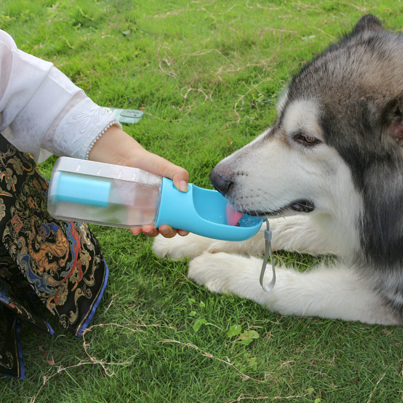 Tragbare Wasserflasche für Katzen und Hunde