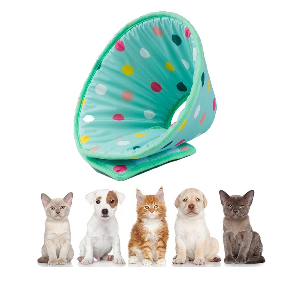 Antileckschutzkragen für Katzen und Hunde