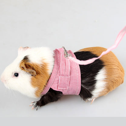 Geschirr für Meerschweinchen