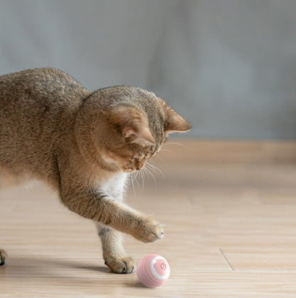 Interaktiver Spielball für Katzen