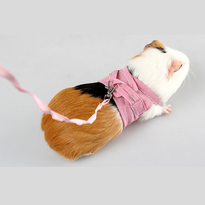 Geschirr für Meerschweinchen