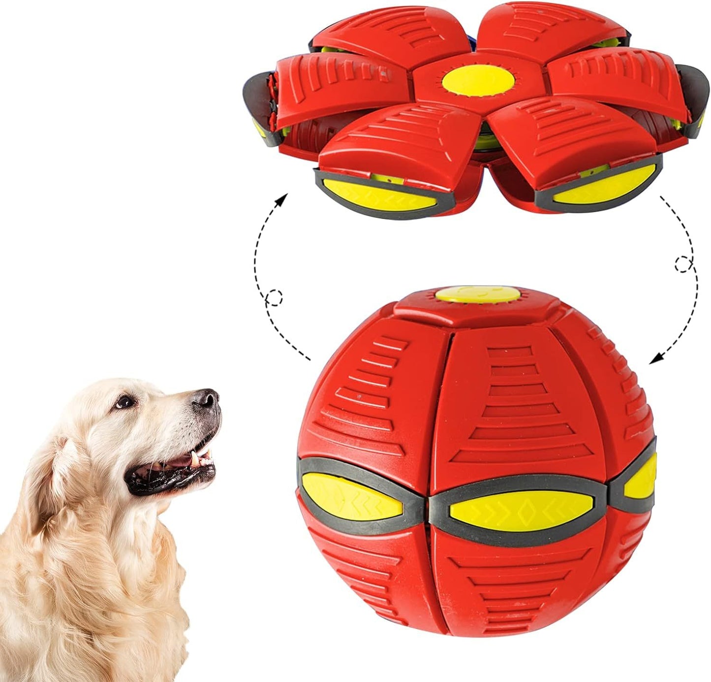 Outdoor Yard Hundespielzeug