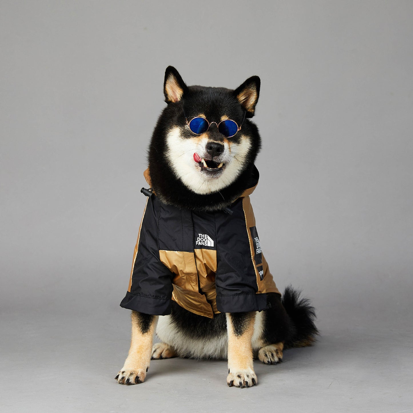 Wind- und regendichte Regenmantel-Shelljacke für große Hunde