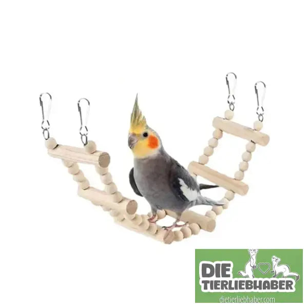 🐦 8-teiliges Spielzeugset für Sittiche - 8PCS - Haustierbedarf