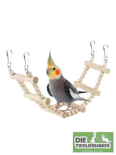 🐦 8-teiliges Spielzeugset für Sittiche - 8PCS - Haustierbedarf