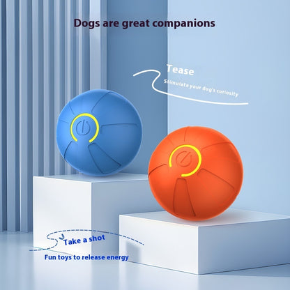Elektrischer Springball für Haustiere