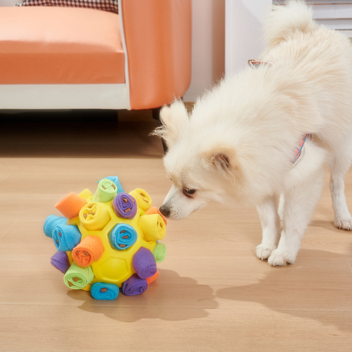 Hundeschnüffelball