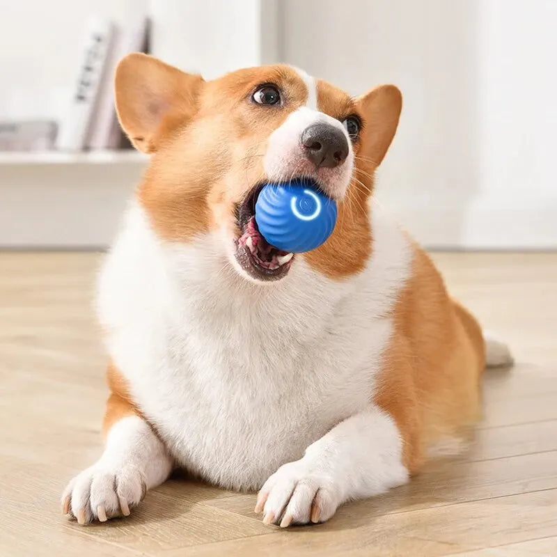 Intelligenter Schwerkraft-Sprungball für Hunde und Katzen