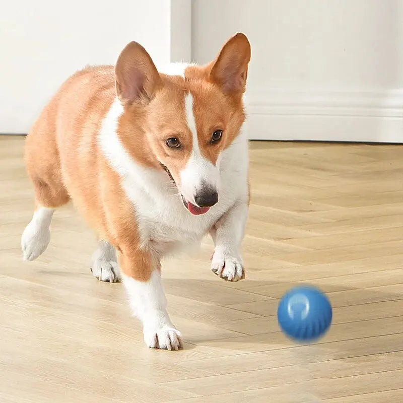 Intelligenter Schwerkraft-Sprungball für Hunde und Katzen