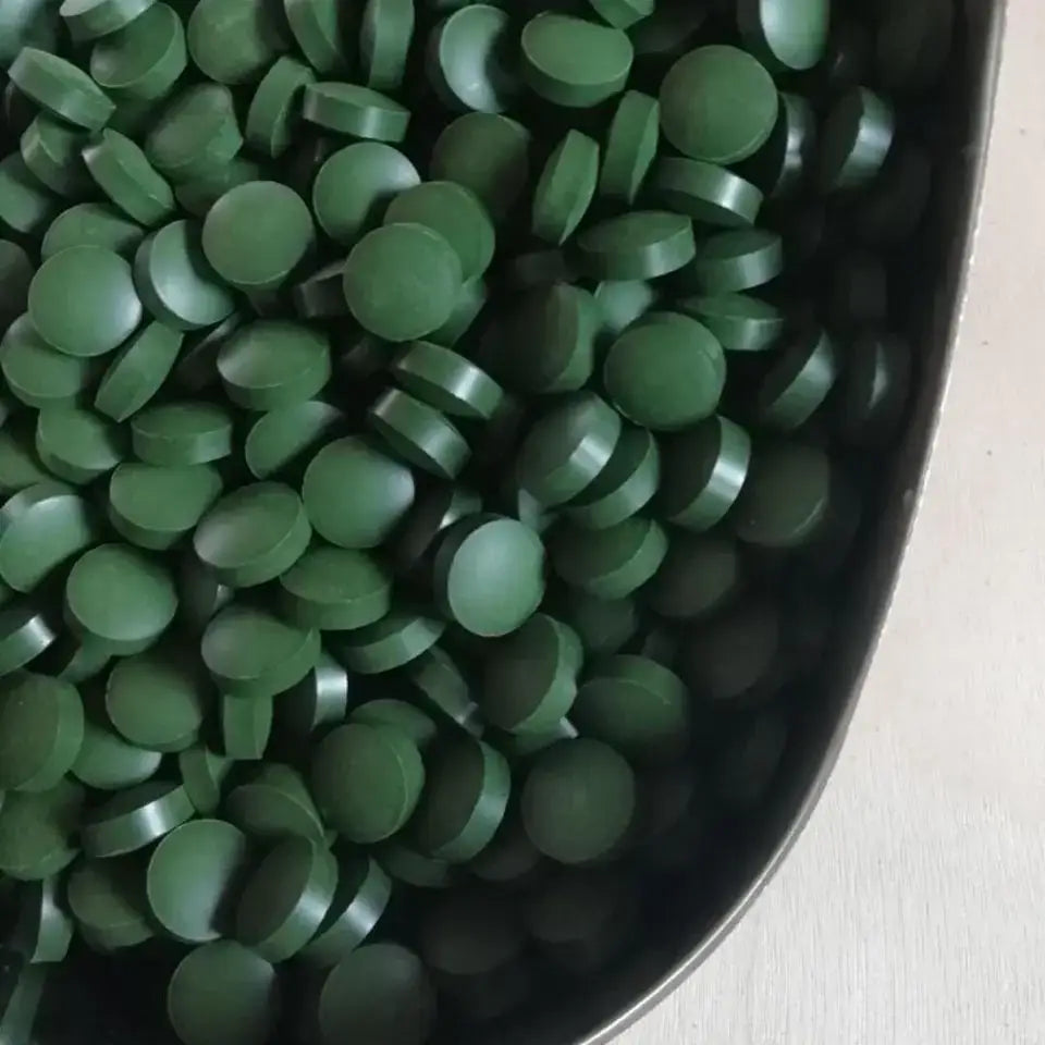 100 Stück Spirulina Tabletten für Fisch und Garnelen