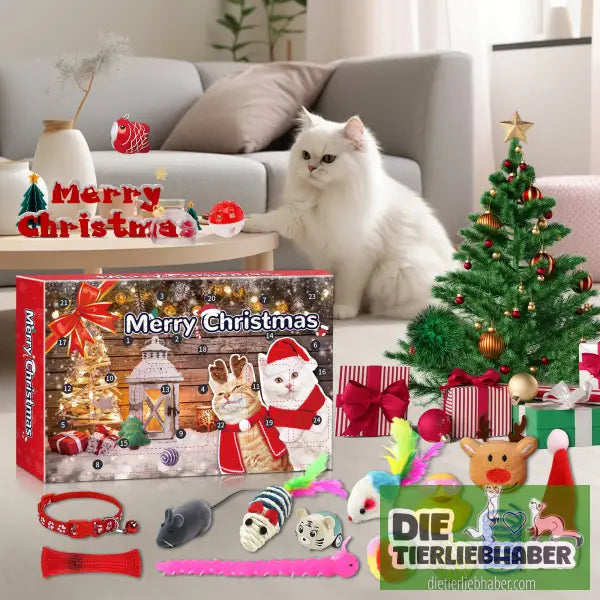 Adventskalender für Katzen - Santa Kitty blind box - Haustierbedarf