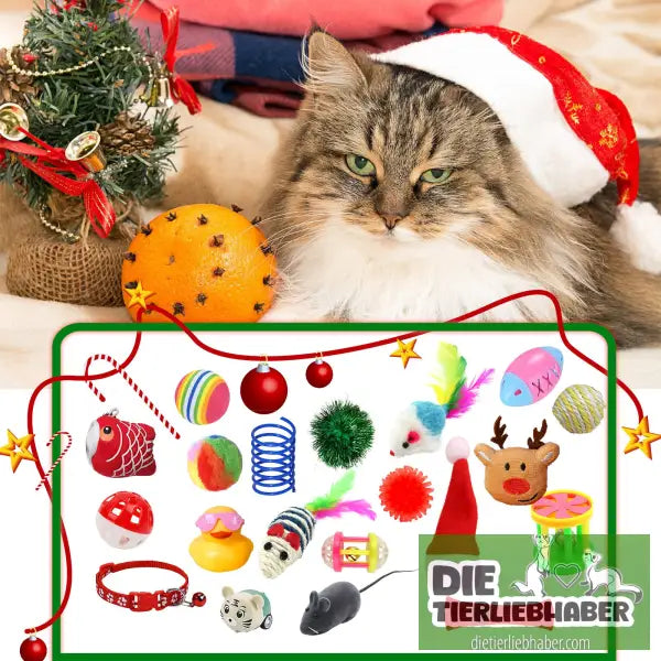Adventskalender für Katzen - Santa Kitty blind box - Haustierbedarf